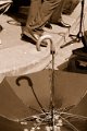 JSIRO2007_04_14_21