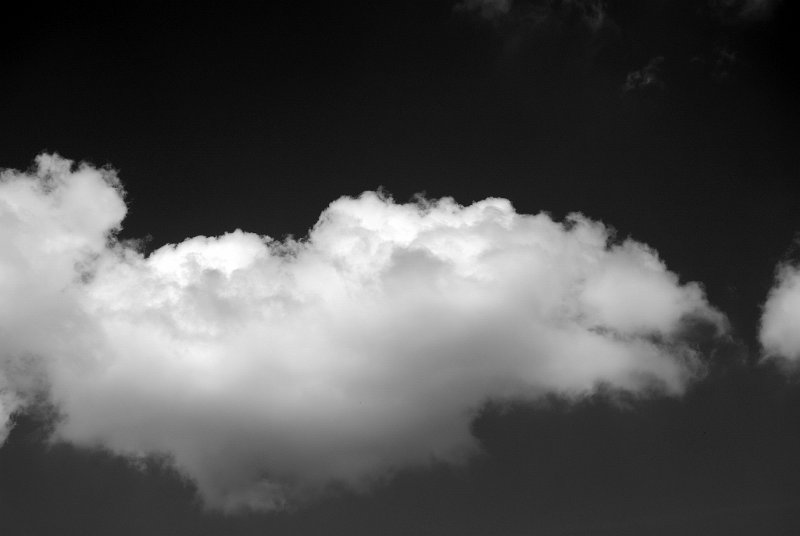 JSC_09440001.JPG