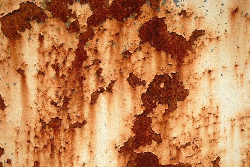 JSC_11710001.JPG