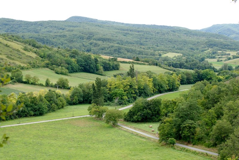 _S0853300001.JPG