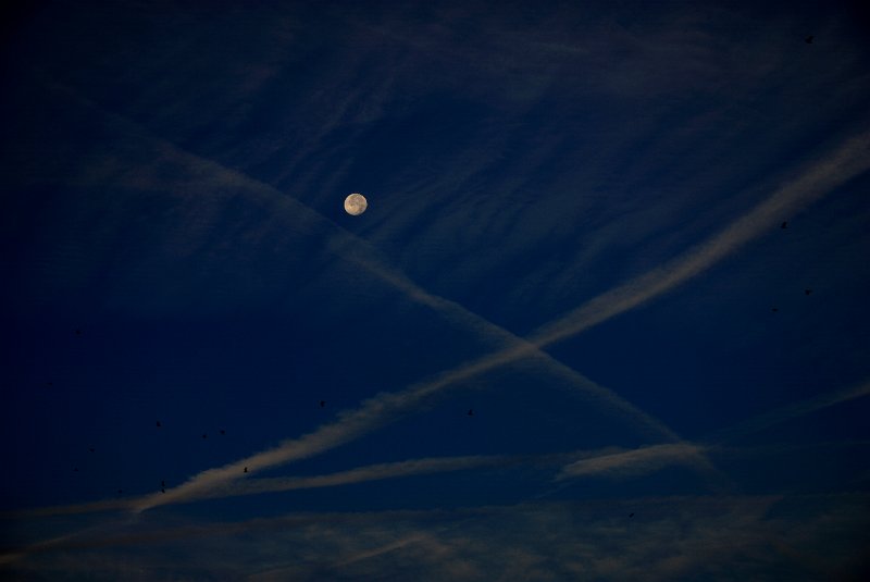 _S085480_2.jpg