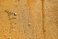 JSC_11590001