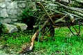 jsiro20070513_1
