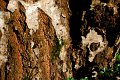 jsiro20070513_2