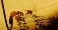 JSC_16900001