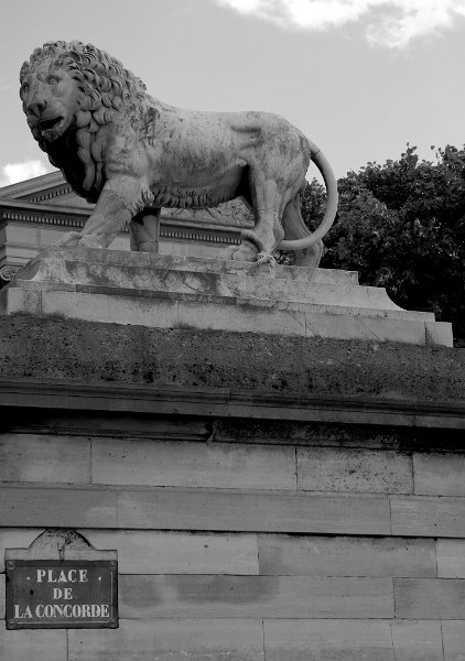 LOM_44220001.JPG - Paris - La Concorde