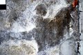 JSC_0590