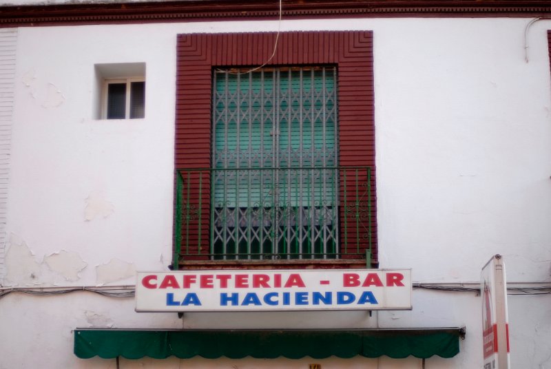 _S0851290001.JPG - SEVILLA200807
