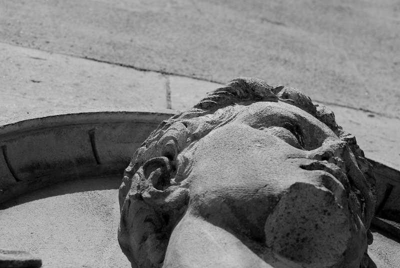 _S0851870001.JPG - SEVILLA200807