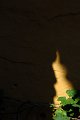 _ALC47280001