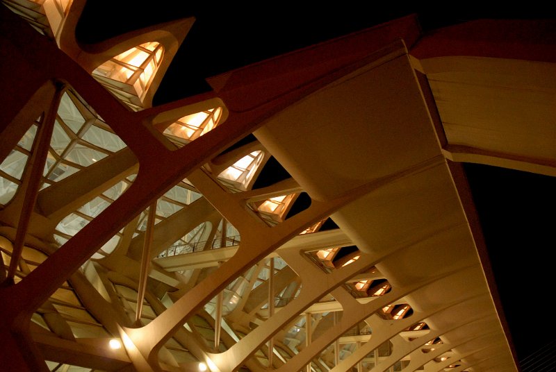 LOM_41490001.JPG - - Valencia - Ciudad de las artes