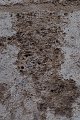 LOM_39940001