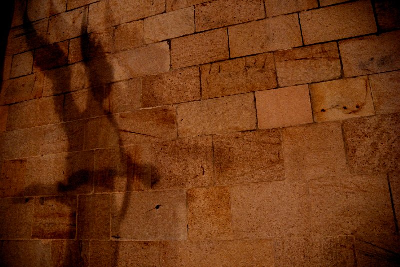 _S101950.jpg - Sombra de Angelito - Castellón