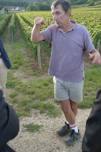 _7100568.jpg - Fixin : vigneron