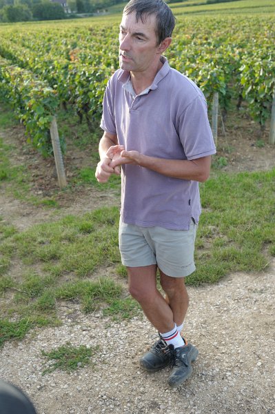 _7100570.jpg - Fixin : vigneron