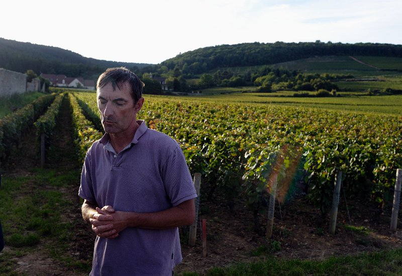 _7100571.jpg - Fixin : vigneron