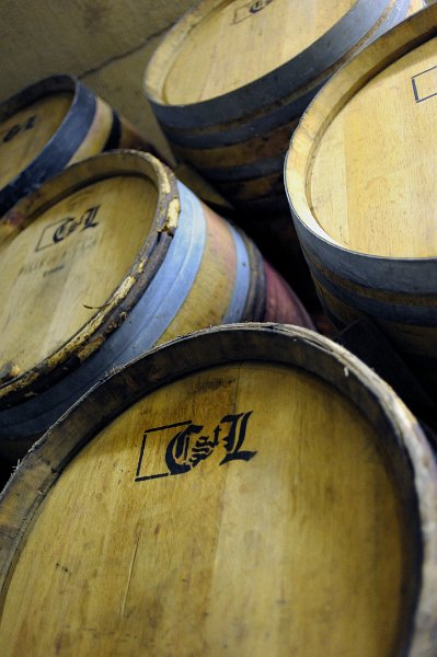 _7100597.jpg - Fixin : vigneron