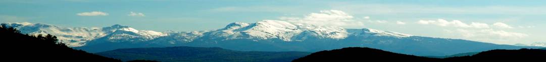 pyreneos.JPG